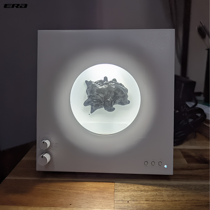ERA ToneView™